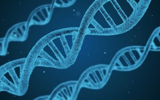 三一电商模式，创新与融合的典范