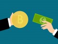电子商务与贸易有限公司，业务模式与运作机制的深度解析