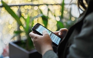 电子商务客户服务与管理，提升客户体验与业务效率