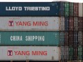 跨境电商零售逃税案例分析