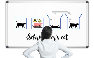 电子商务学出来干嘛去_谈心精选答案落实_V48.29.15