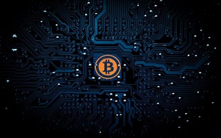 全球电子商务的典范，探索多元化的在线商业模式