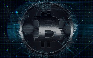 电商经济学讲义电子版，探索数字时代的商业智慧