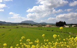 农村电商经营训练，打造乡村振兴新引擎