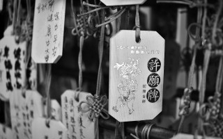 电商运营助理，幕后英雄的日常