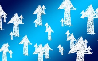 电商诚信经营许可证2021，构建信任的桥梁