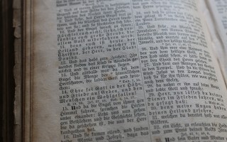 2025年新澳门天天开彩_作答解释落实的民间信仰_主页版v523.997