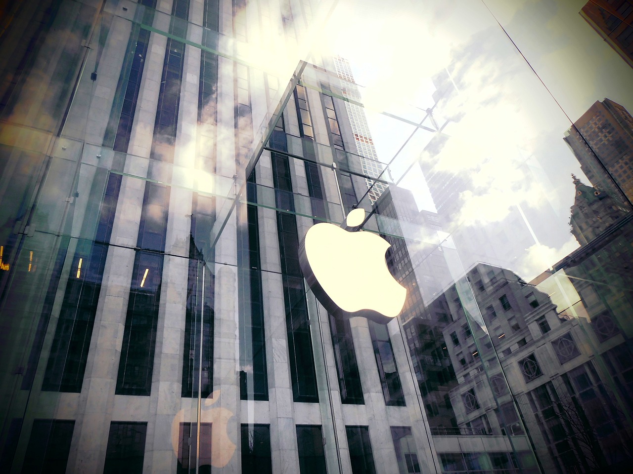 跨境电商采购汇报材料_颤抖精选答案落实_iPhone版v40.08.21-第3张图片-鸿庞网