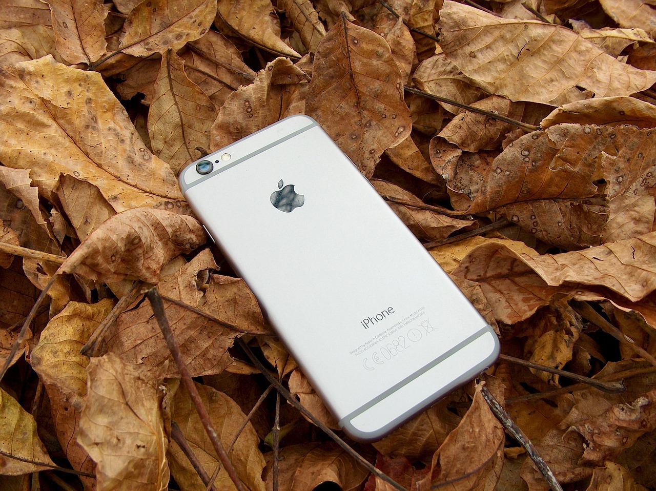 澳门精准免费资料大全_精彩对决解析_iPhone版v57.15.62-第2张图片-鸿庞网