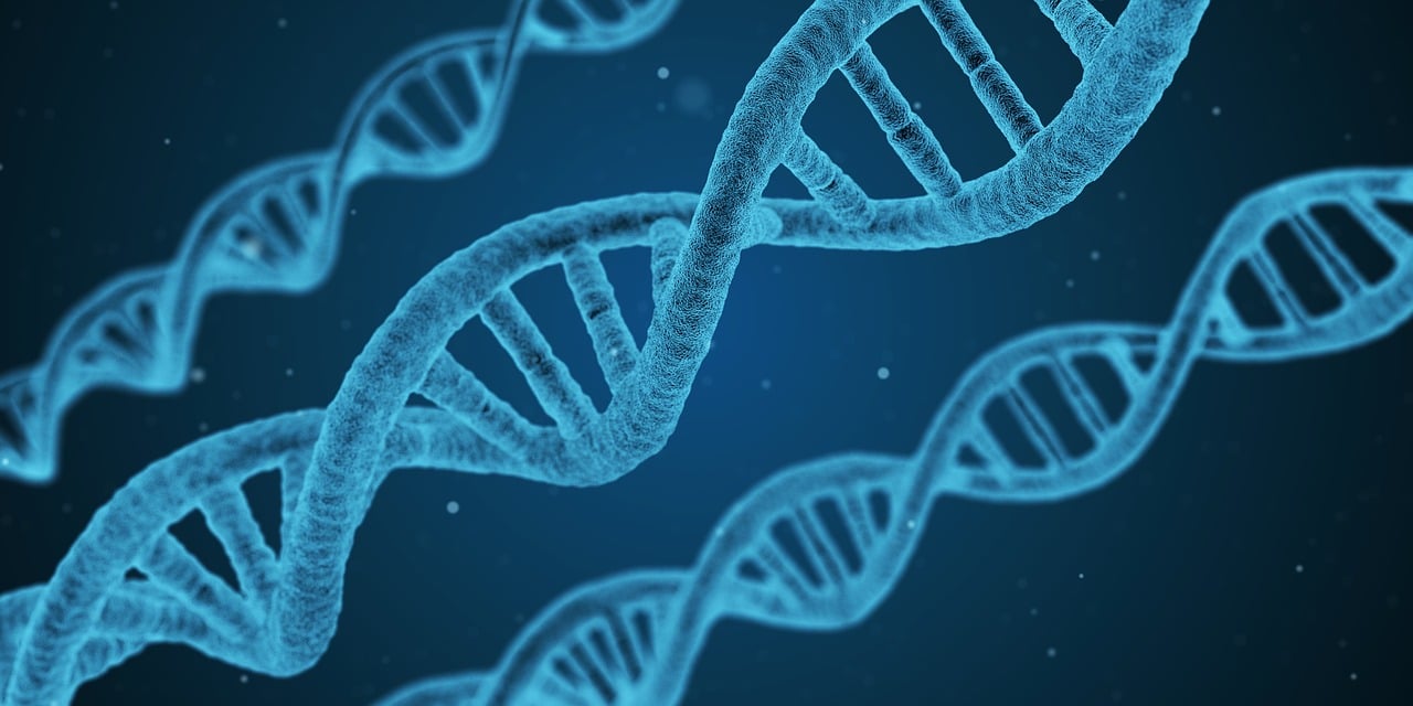 种子电商模式，农业创新的新篇章-第2张图片-鸿庞网