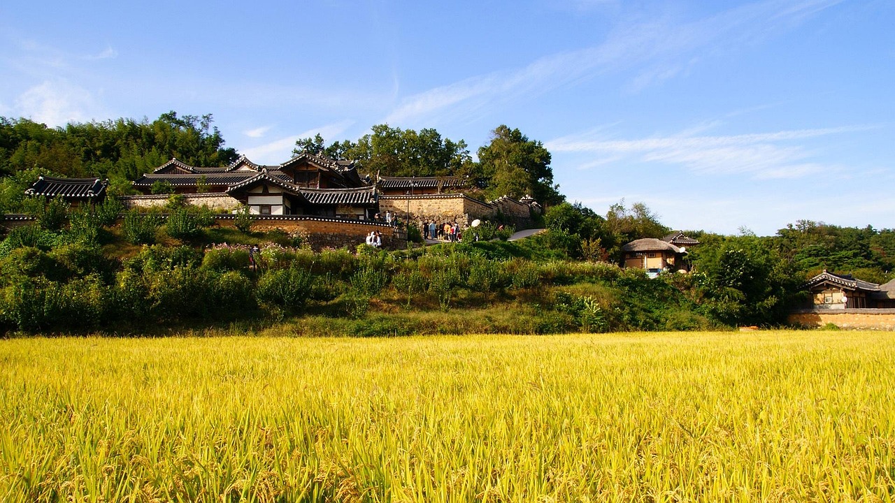 农产品电商运营公司，连接田间地头与城市餐桌的桥梁-第2张图片-鸿庞网